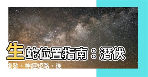 生蛇位置圖|病毒潛伏的痛楚，更是令他沒一刻好受。響範圍高度達四、五。